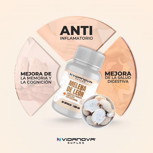 Melena de León Fortificada – 60 cápsulas